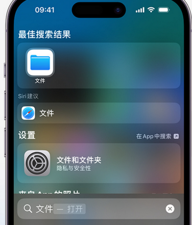 梨树apple维修中心分享iPhone文件应用中存储和找到下载文件 