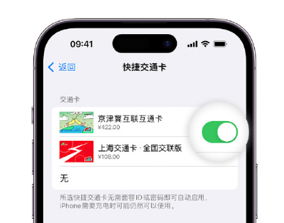 梨树apple维修点分享iPhone上更换Apple Pay快捷交通卡手绘卡面 