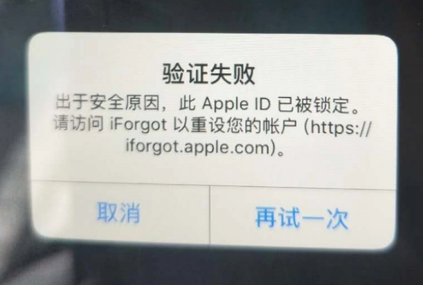 梨树iPhone维修分享iPhone上正常登录或使用AppleID怎么办 