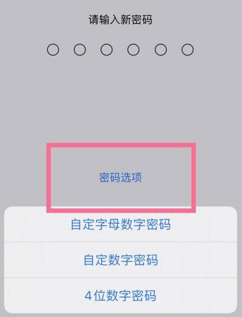 梨树苹果14维修分享iPhone 14plus设置密码的方法 