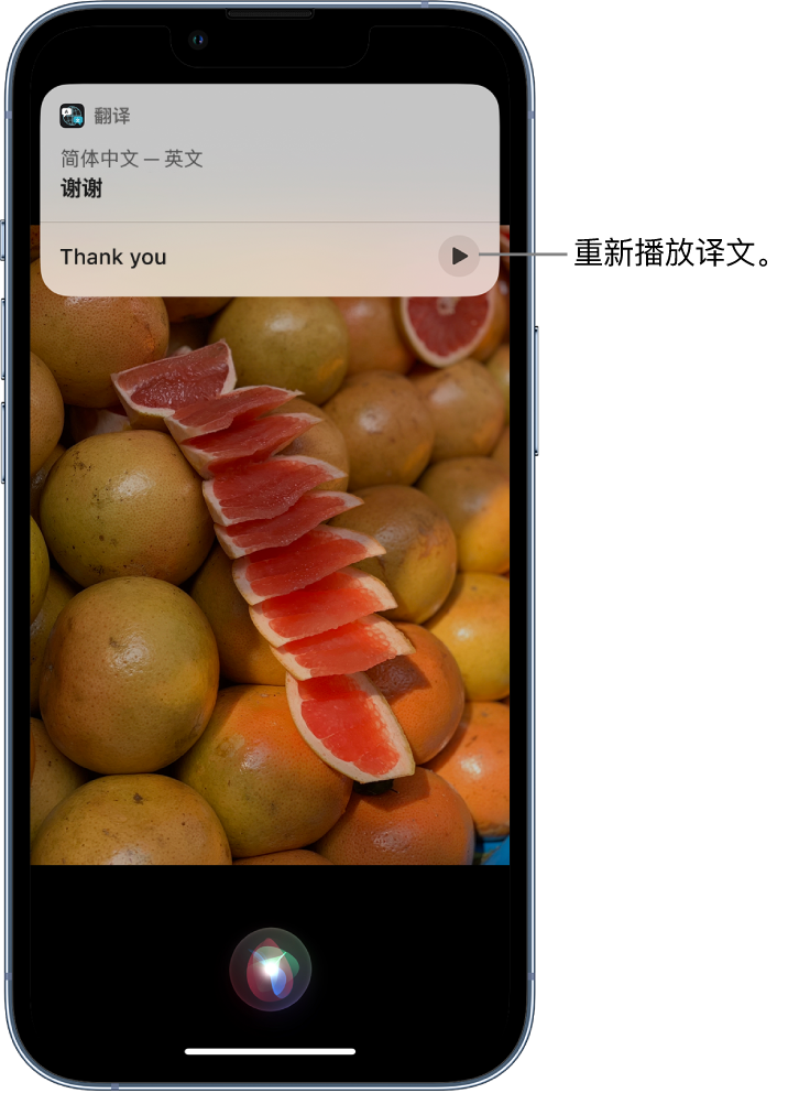 梨树苹果14维修分享 iPhone 14 机型中使用 Siri：了解 Siri 能帮你做什么 