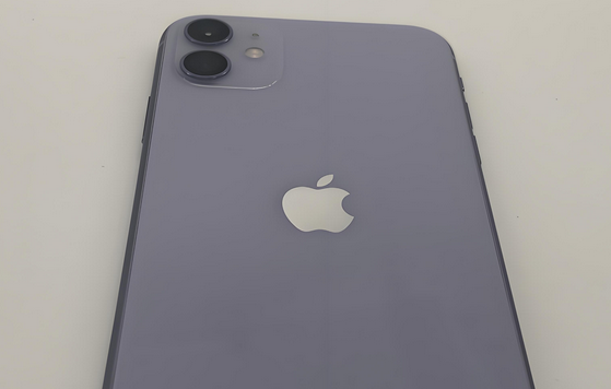 梨树苹果11系统维修分享iPhone11手机系统崩溃无法开机如何解决